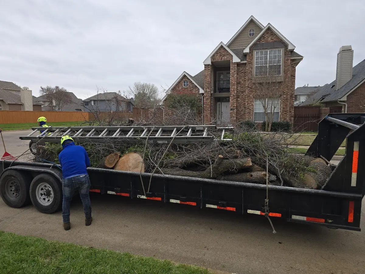 Expert Tree Fertilization with proper safety equipment in Sylvester